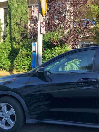 EV charger at Palms Blvd Parking/Charging
