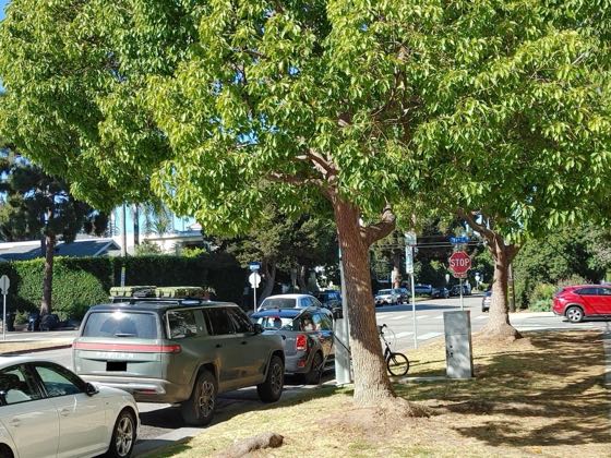 EV charger at 1102 11th St Parking