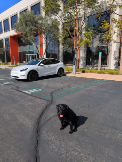 EV charger at Medtronic Brain Therapies
